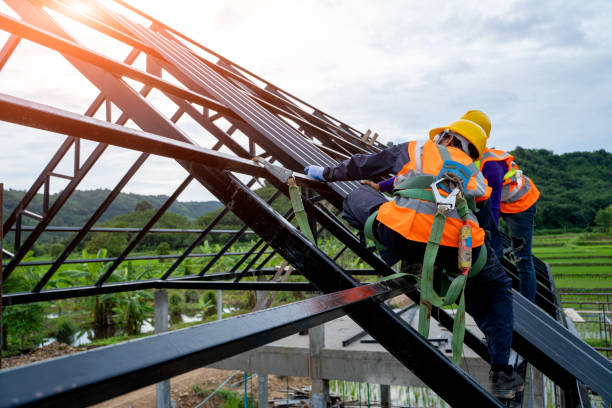 Best Roof Repair Services  in Carey, OH