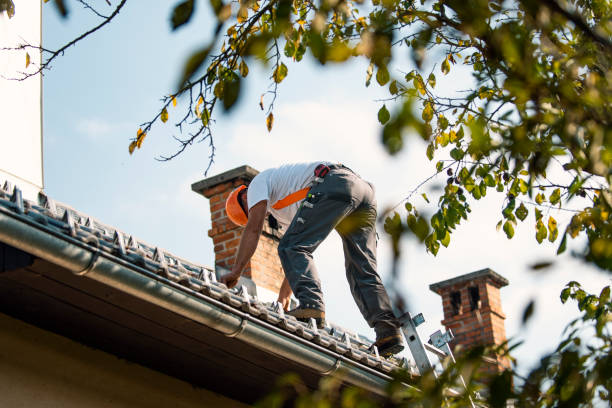 Best Residential Roofing Contractor  in Carey, OH