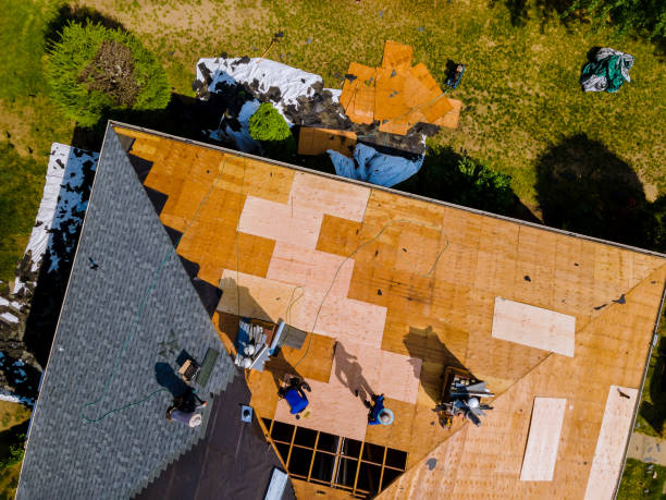 Best Roofing Contractor Near Me  in Carey, OH