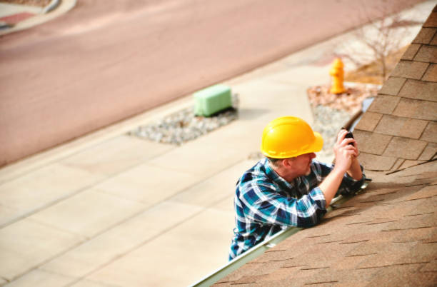 Best Roof Gutter Cleaning  in Carey, OH