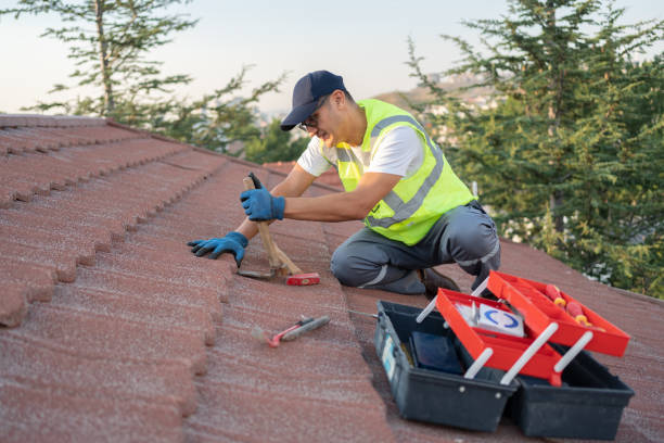 Best Roof Waterproofing Services  in Carey, OH