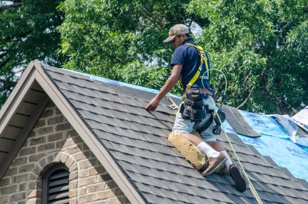 Best Shingle Roofing Installation  in Carey, OH
